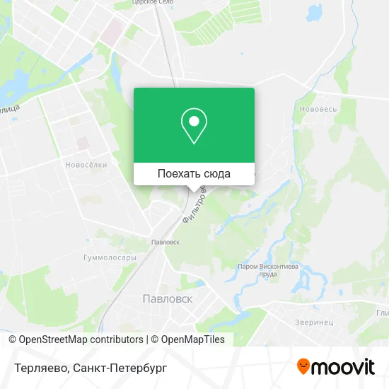 Карта Терляево