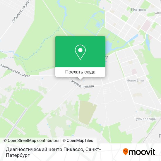 Карта Диагностический центр Пикассо