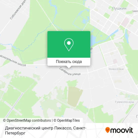 Карта Диагностический центр Пикассо