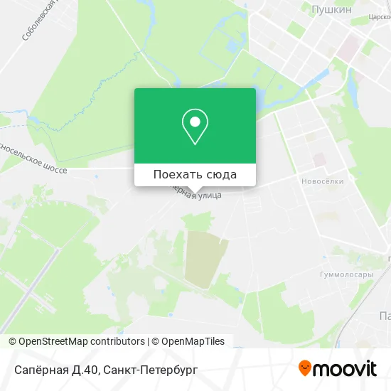 Карта Сапёрная Д.40