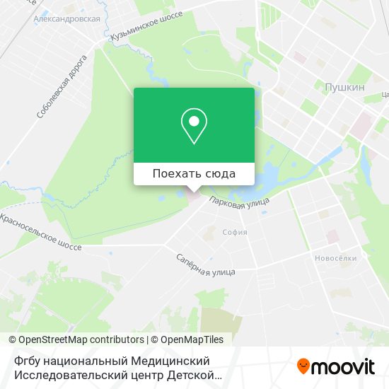 Карта Фгбу национальный Медицинский Исследовательский центр Детской Травматологии и Ортопедии имени г. И.