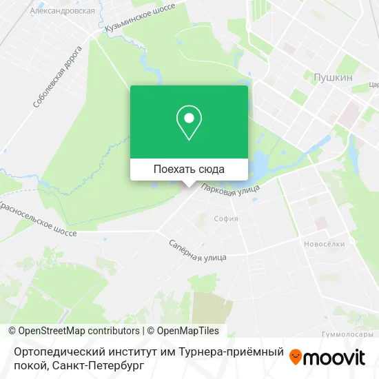 Карта Ортопедический институт им Турнера-приёмный покой