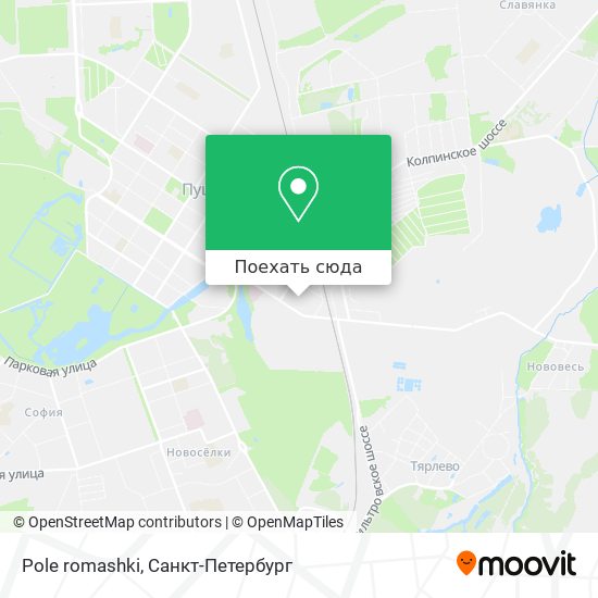 Карта Pole romashki