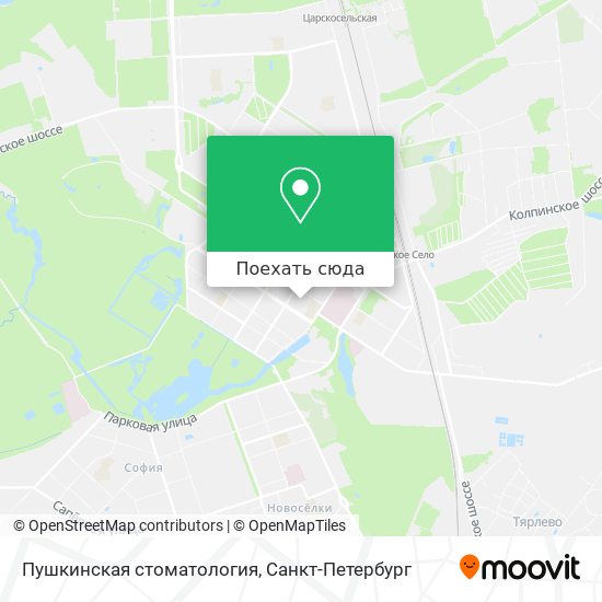 Карта Пушкинская стоматология