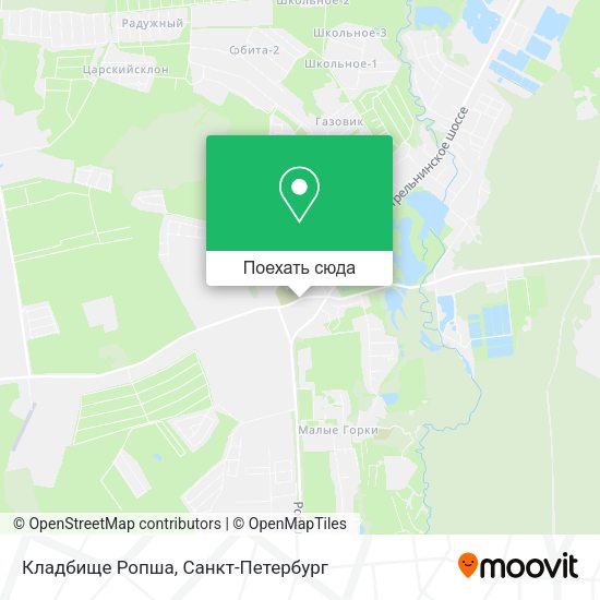 Карта Кладбище Ропша