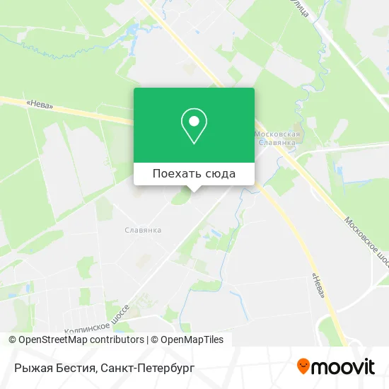 Карта Рыжая Бестия