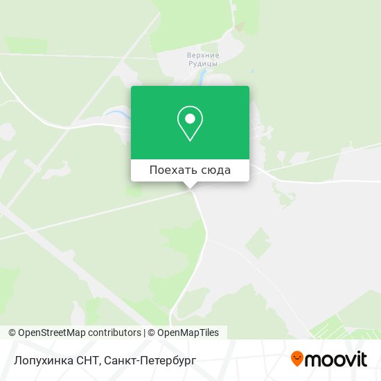 Карта Лопухинка СНТ