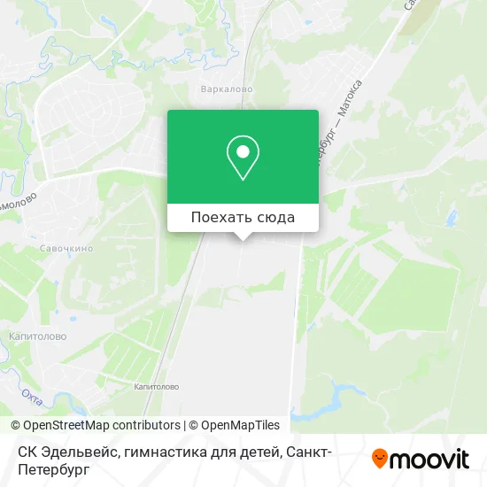 Карта СК Эдельвейс, гимнастика для детей