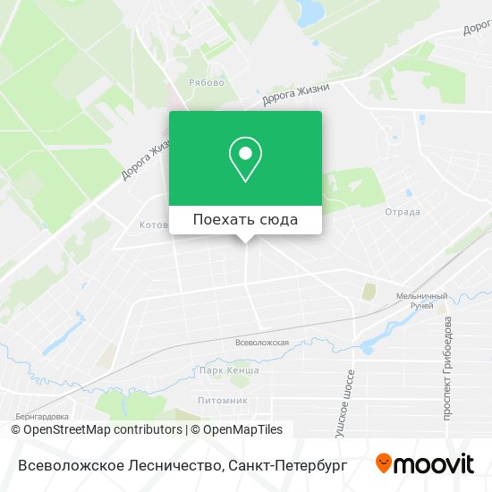 Карта Всеволожское Лесничество