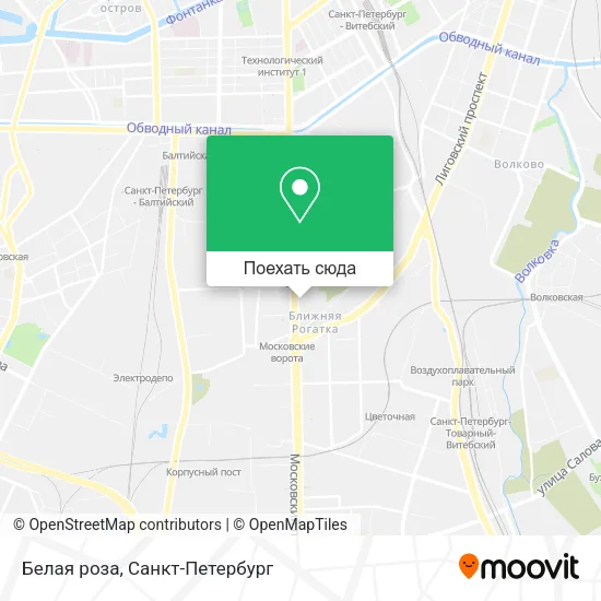 Карта Белая роза