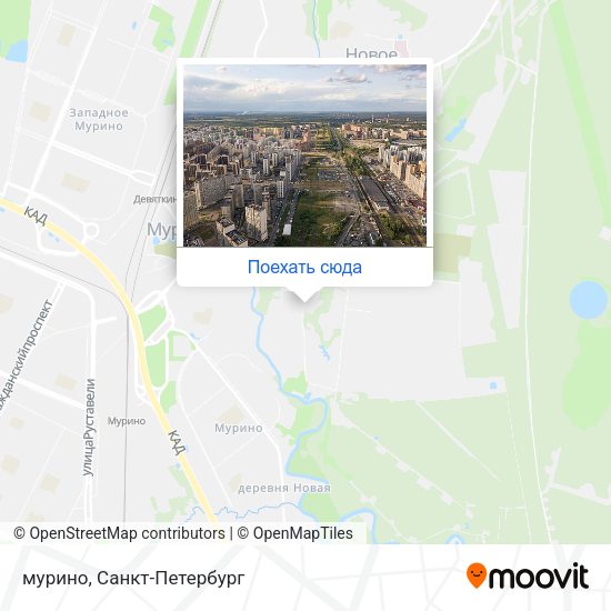 Карта мурино