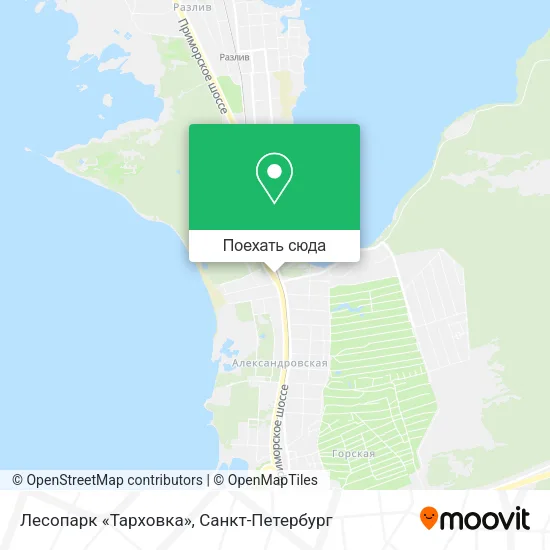 Карта Лесопарк «Тарховка»