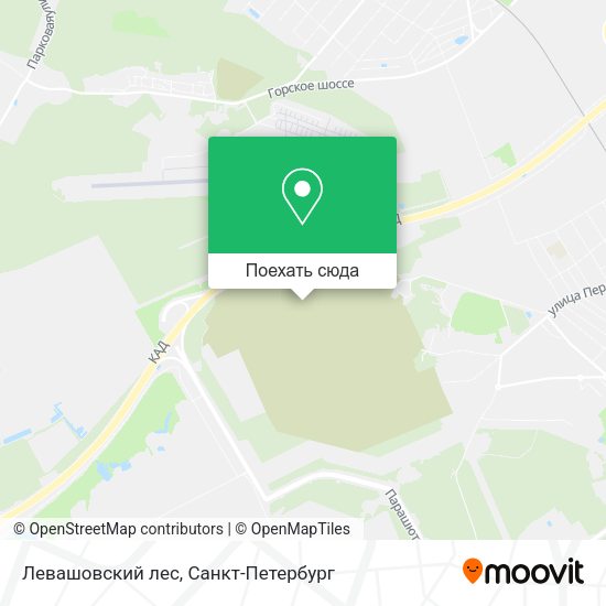 Карта Левашовский лес