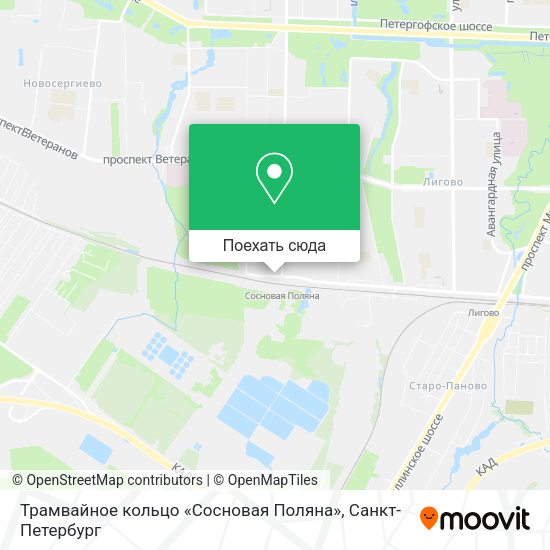 Карта Трамвайное кольцо «Сосновая Поляна»