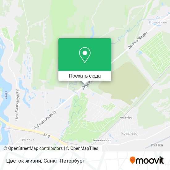 Карта Цветок жизни