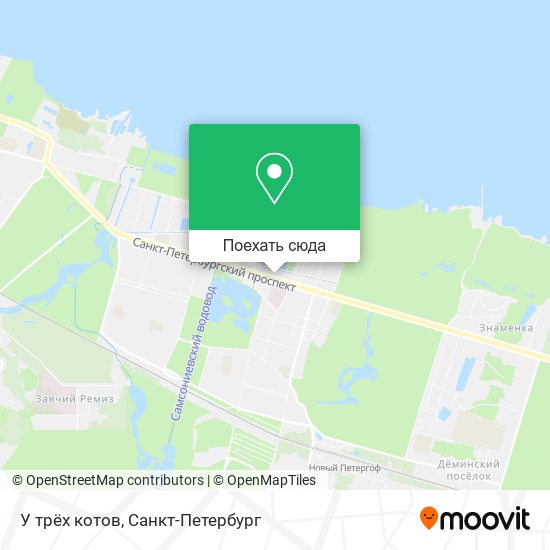 Карта У трёх котов