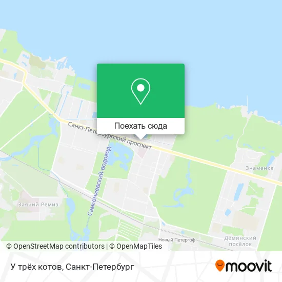 Карта У трёх котов