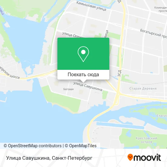 Карта Улица Савушкина