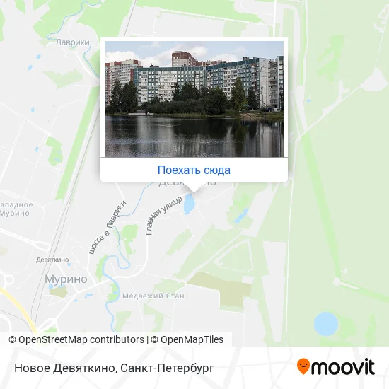 Карта Новое Девяткино