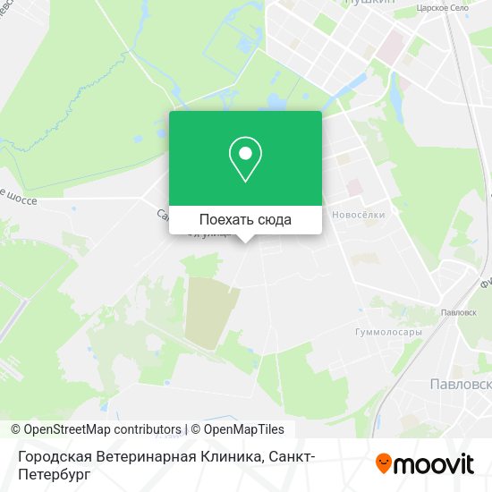Карта Городская Ветеринарная Клиника