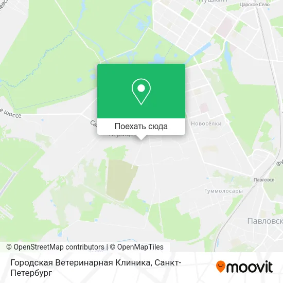 Карта Городская Ветеринарная Клиника