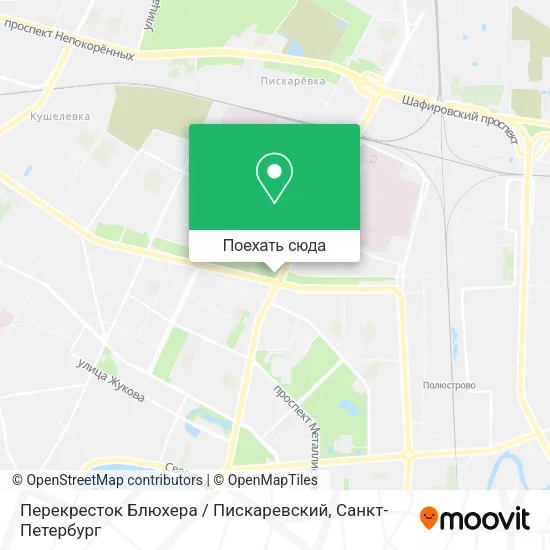 Карта Перекресток Блюхера / Пискаревский