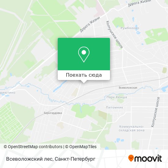 Карта Всеволожский лес