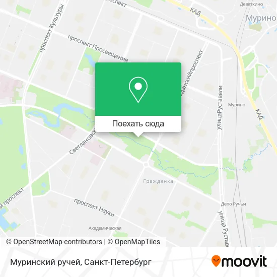 Карта Муринский ручей