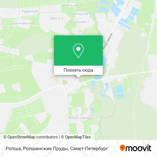 Карта Ропша, Ропшинские Пруды
