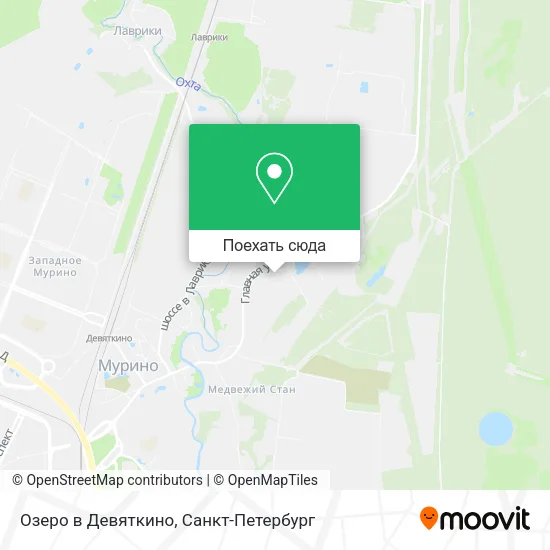 Карта Озеро в Девяткино