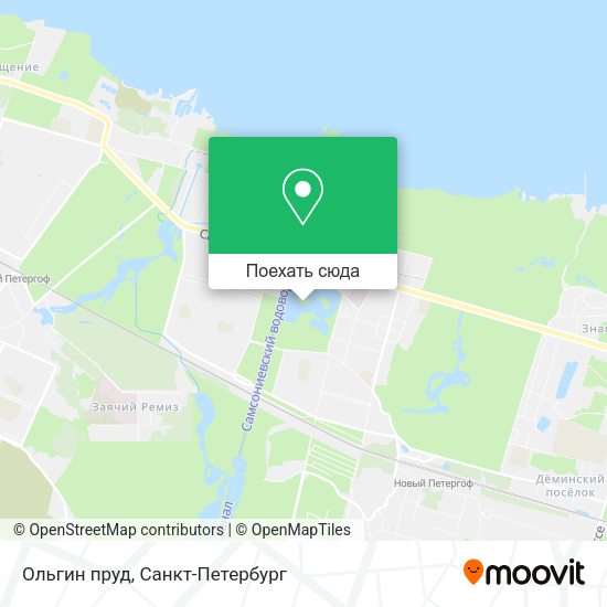Карта Ольгин пруд
