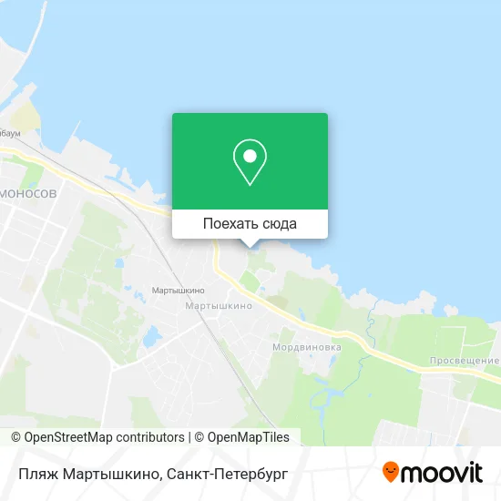 Карта Пляж Мартышкино