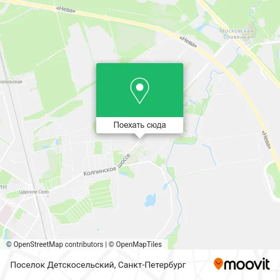 Карта Поселок Детскосельский