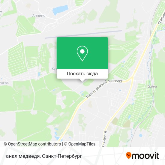 Карта анал медведя