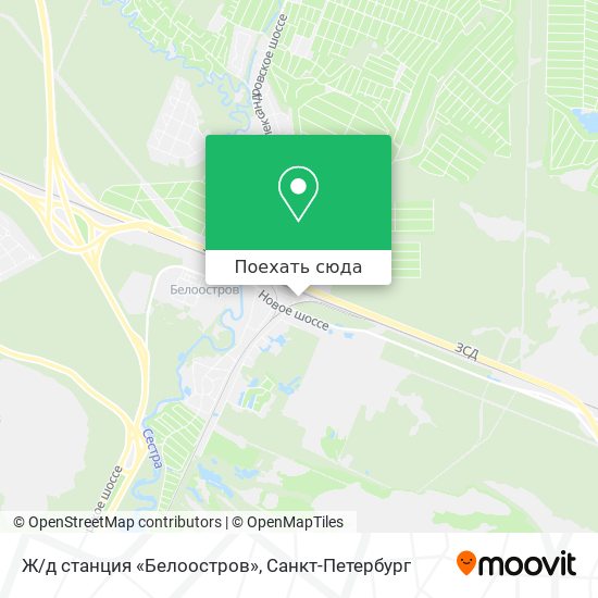 Карта Ж/д станция «Белоостров»