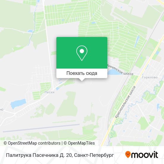 Карта Палитрука Пасечника Д. 20