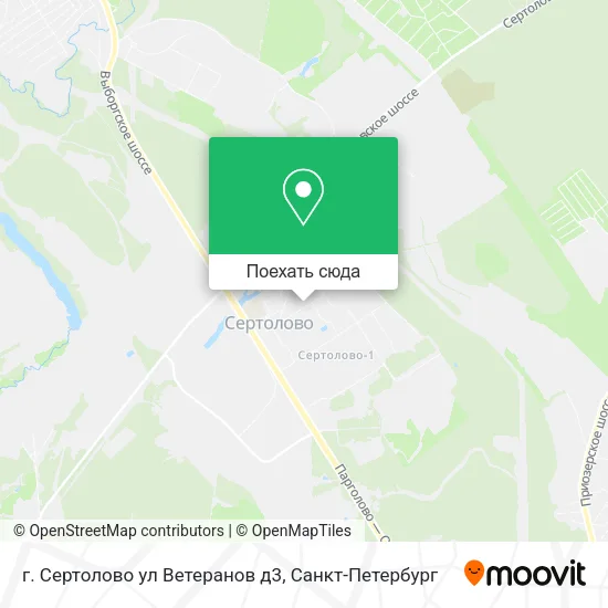 Карта г. Сертолово ул Ветеранов д3
