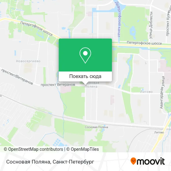 Карта Сосновая Поляна