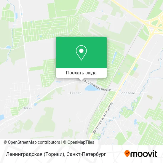 Карта Ленинградская (Торики)