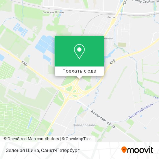 Карта Зеленая Шина