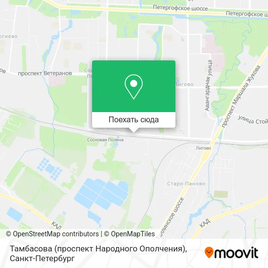 Карта Тамбасова (проспект Народного Ополчения)