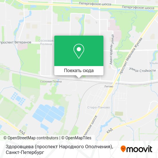 Карта Здоровцева (проспект Народного Ополчения)