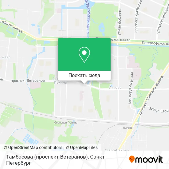 Карта Тамбасова (проспект Ветеранов)