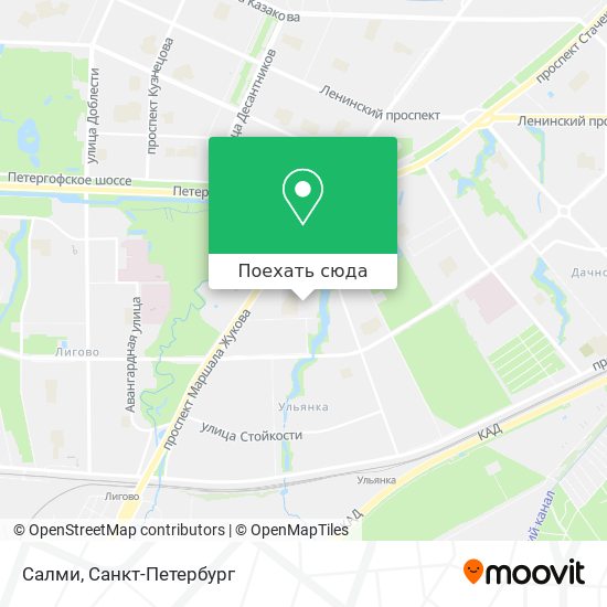 Карта Салми