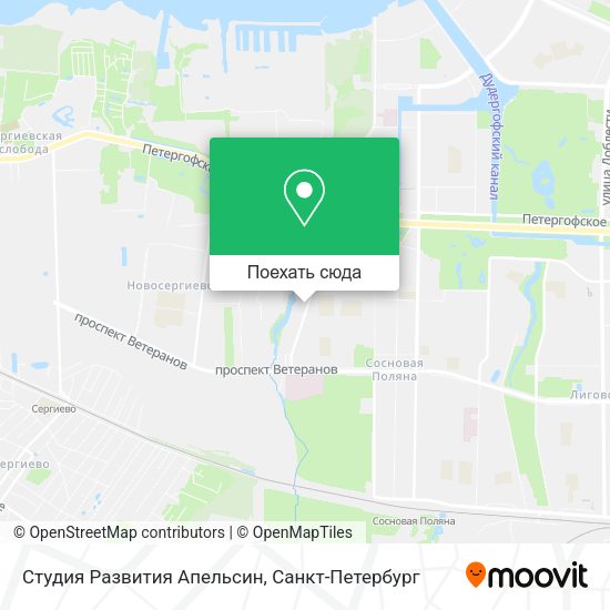 Карта Студия Развития Апельсин