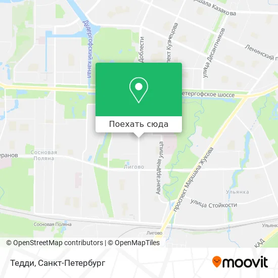 Карта Тедди