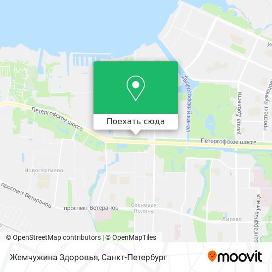 Карта Жемчужина Здоровья