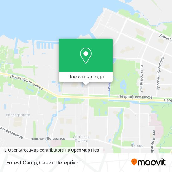Карта Forest Camp