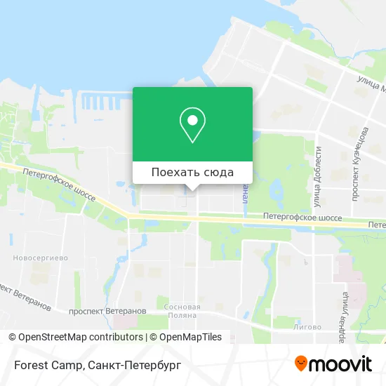 Карта Forest Camp