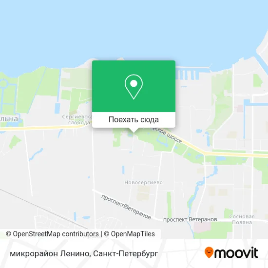 Карта микрорайон Ленино